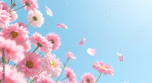Pink Flowers, Falling Petals, Sunny Sky