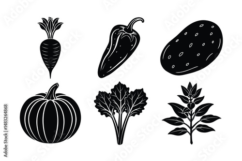 A vector set of fresh, organic vegetables and fruits includes tomato, carrot, onion, cucumber, pepper, pumpkin, eggplant, potato, and corn icons for a healthy, vegetarian diet