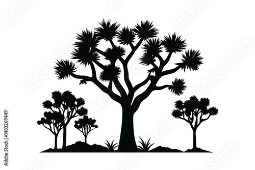 joshua tree line art silhouette vector illustration isolated on a white background