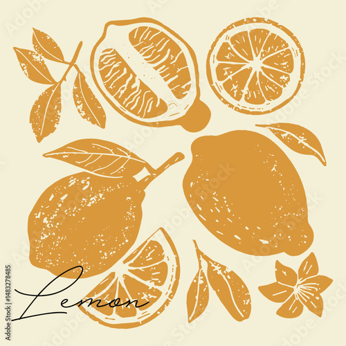 Vintage hand-drawn lemon set in black and white. Elegant botanical illustration of lemon fruits, flowers, leaves. Textured woodcut art with vintage engraving aesthetics.