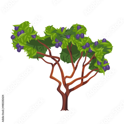 Plum tree or vector fruit plant isolated. Clipart symbol for agriculture and gardening, seasonal harvest and orchard flora. Nature with leaf crown and branch. Farm produce, healthy edible food. Wood.