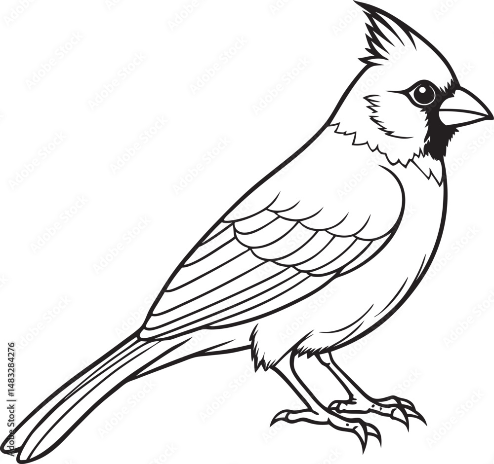 Obraz premium Cardinal bird on branch vector silhouette, Bird on a branch line art, Vector illustration