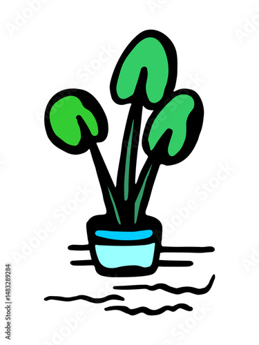 Vector color illustration of a houseplant in a pot on a white isolated background