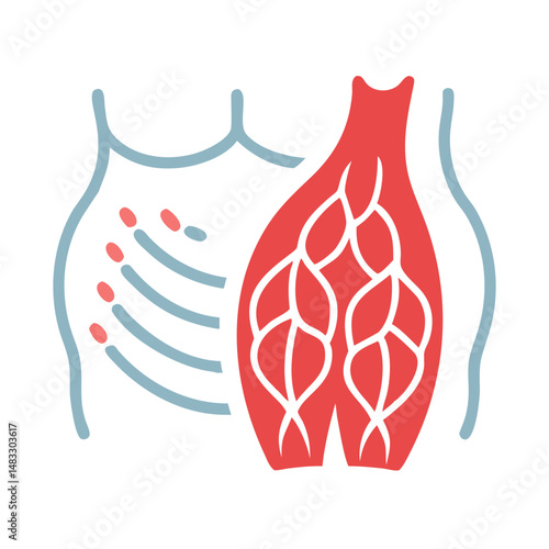 Human Muscle Structure Icon Representing Anatomy and Muscular System