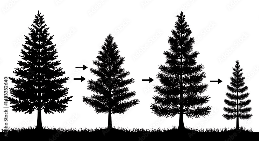 Obraz premium Evergreen Evolution AI Generated