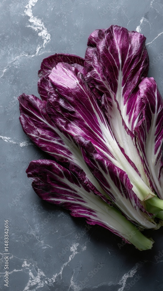 Obraz premium Vibrant radicchio leaves arranged on a gray marble background. The rich purple and white hues create a stunning contrast.