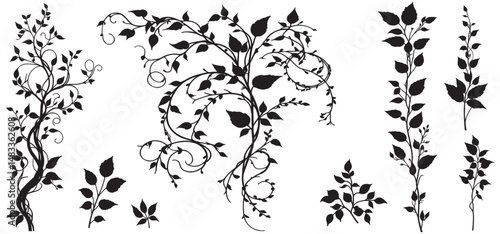large selection of climbing hawthorn plants for ornament vector illustration