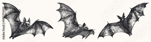 set of bats fly with their wings spread collection hand drawn sketch illustration different flying poses dynamic movement line art detailed card design vector elements