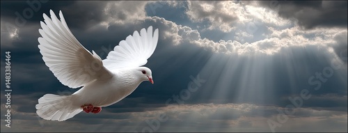 A white dove flies high in a blue sky, surrounded by fluffy clouds with sunlight breaking through, creating a serene atmosphere