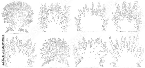 Set of forest bushes of various interesting shapes bushes and small trees vector. Minimal style cad tree and bushes line drawing vector