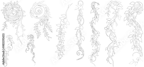 Tropical outline vines vegetation vector isolated on white background