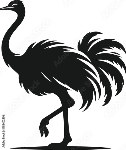 Vector ostrich isolated black silhouette