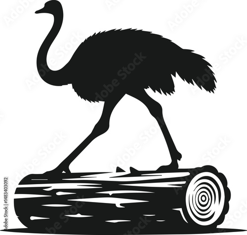 Vector ostrich isolated black silhouette