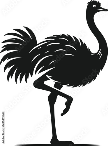 Vector ostrich isolated black silhouette