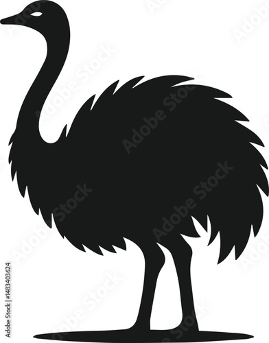 Vector ostrich isolated black silhouette
