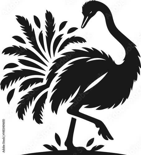 Vector ostrich isolated black silhouette