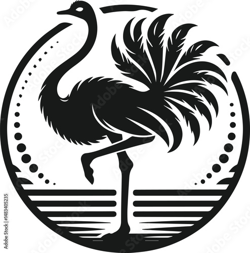 Vector ostrich isolated black silhouette