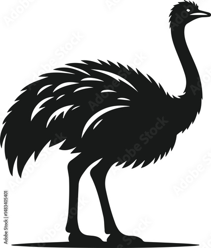 Vector ostrich isolated black silhouette