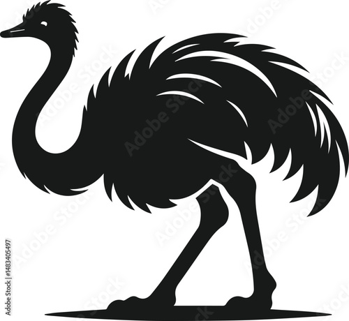 Vector ostrich isolated black silhouette