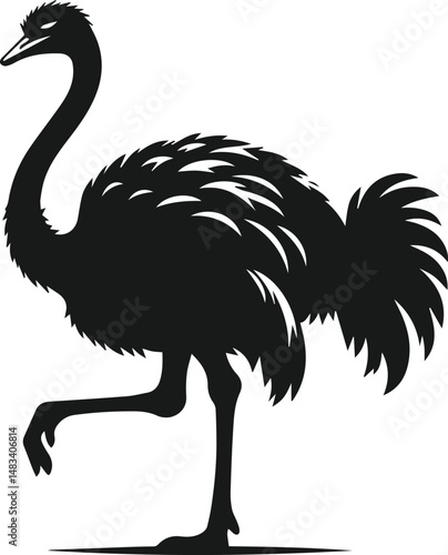 Vector ostrich isolated black silhouette