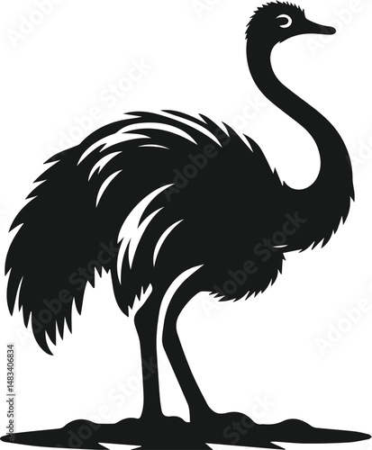 Vector ostrich isolated black silhouette