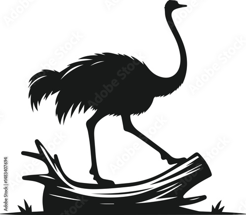 Vector ostrich isolated black silhouette