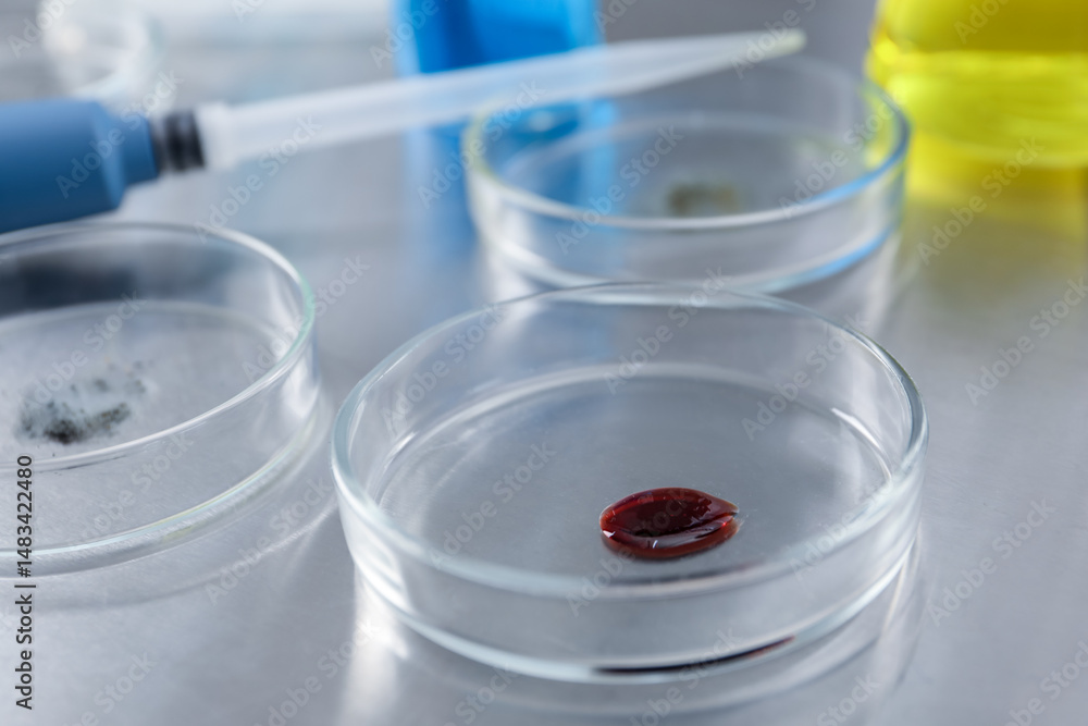 Petri dishes with samples on metal table, closeup Petri dishes with samples on metal table, closeup