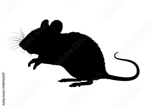 Mouse silhouette, outline – vector illustration