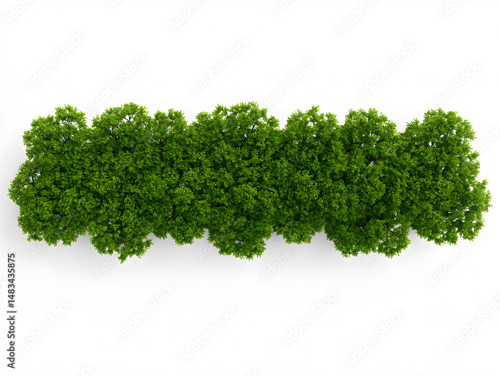 3d Photorealistic green tree cluster, top view, isolated on white backdrop 3d Photorealistic green tree cluster, top view, isolated on white backdrop