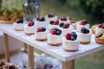 Papier peint photo Restaurant Mini cheesecakes aux fruits rouges  © Alex
