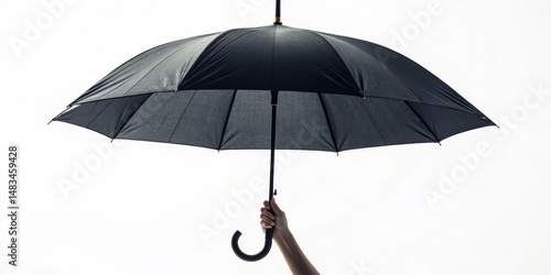 Black Umbrella Silhouette L...