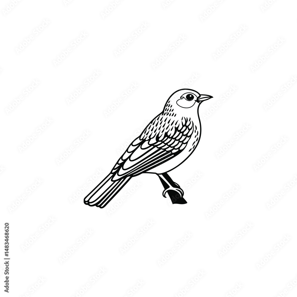 Fototapeta premium toucan-bird--white-background Toucan. Digital illustration for books and stories about animals. Simple, bright picture.
