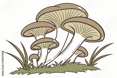 111 mushroom cluster, cluster of oyster mushrooms, shimeji mushrooms, white mushrooms, fungi, nature, organic, high-quality photography, studio lighting, detailed