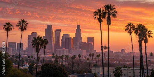 LA Skyline Sunset Palm Trees Framing Cityscape at Golden Hour, Photography, Urban Landscape Los Angeles, California