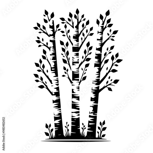Silhouetted Aspen Trees Vector Illustration - Black & White Nature Art
