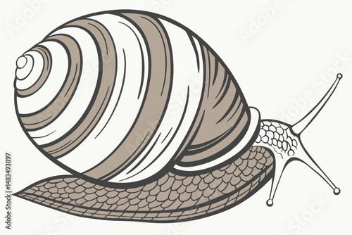 117 mussel, shell, freshwater, bivalve mollusk, close-up, detailed, photorealistic, high resolution