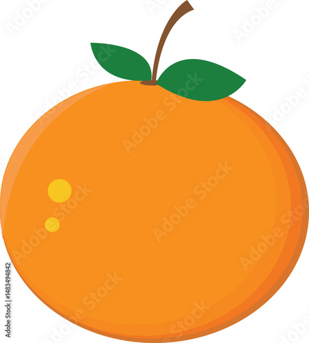 Fresh Orange Fruit Vector Illustration

