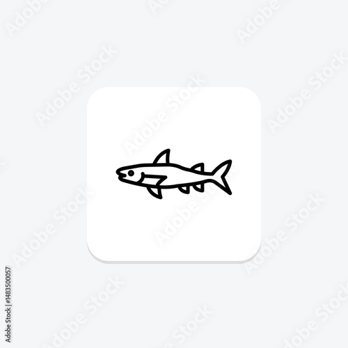 Barracuda, vector, pixel perfect, illustrator file