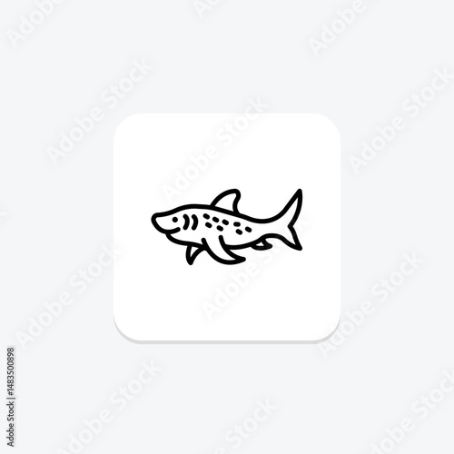 Zebra Shark, vector, pixel perfect, illustrator file