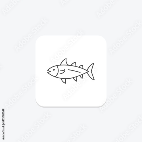 Bonito, vector, pixel perfect, illustrator file