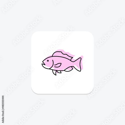 Grouper, vector, pixel perfect, illustrator file