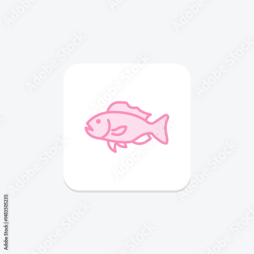 Grouper, vector, pixel perfect, illustrator file