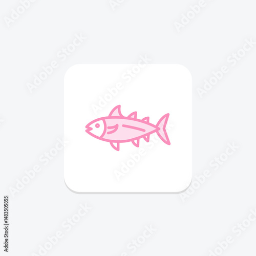 Bonito, vector, pixel perfect, illustrator file