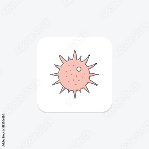 Sea Urchin, vector, pixel perfect, illustrator file