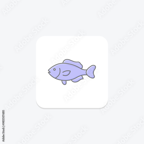 Wrasse, vector, pixel perfect, illustrator file