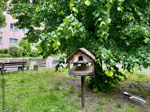 An old wooden house designed for birds and squirrels, situated in a green city park. The structure shows signs of age, surrounded by nature and partially covered by tree branches and foliage.