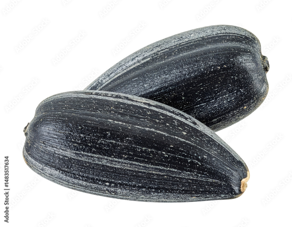 custom made wallpaper toronto digitalTwo sunflower seeds in shells isolated on transparent background