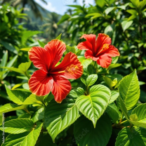 Wallpaper Mural Hibiscus leaves pattern, vivid jungle repeat, bright, tropical Torontodigital.ca