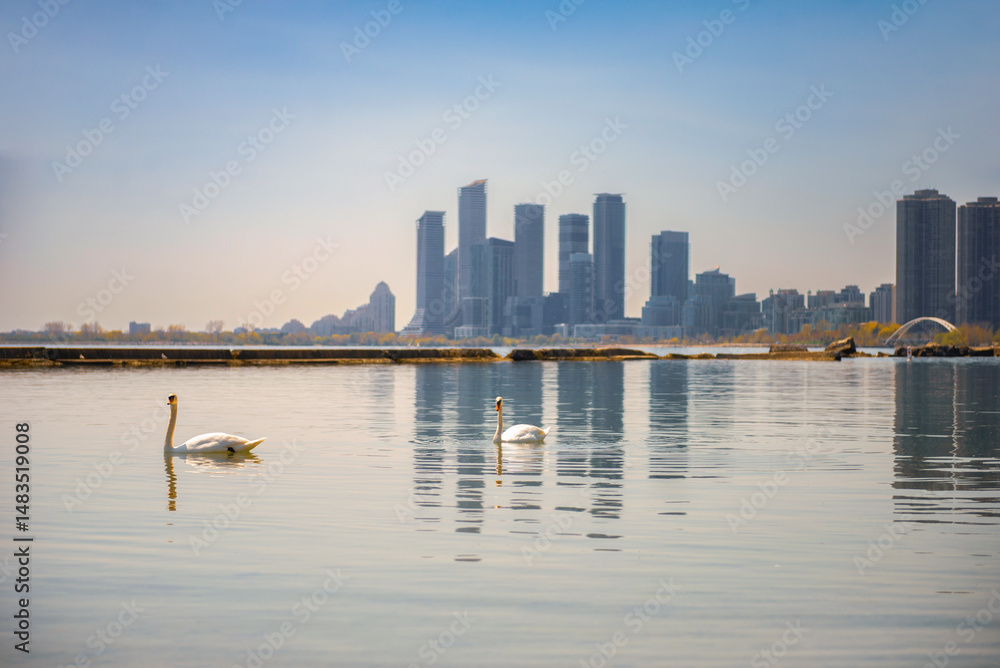 Obraz premium view of downtown Toronto in spring