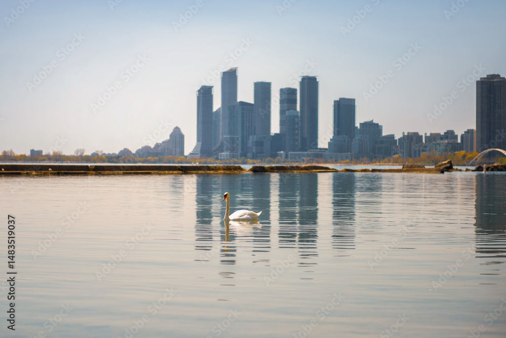 Obraz premium view of downtown Toronto in spring
